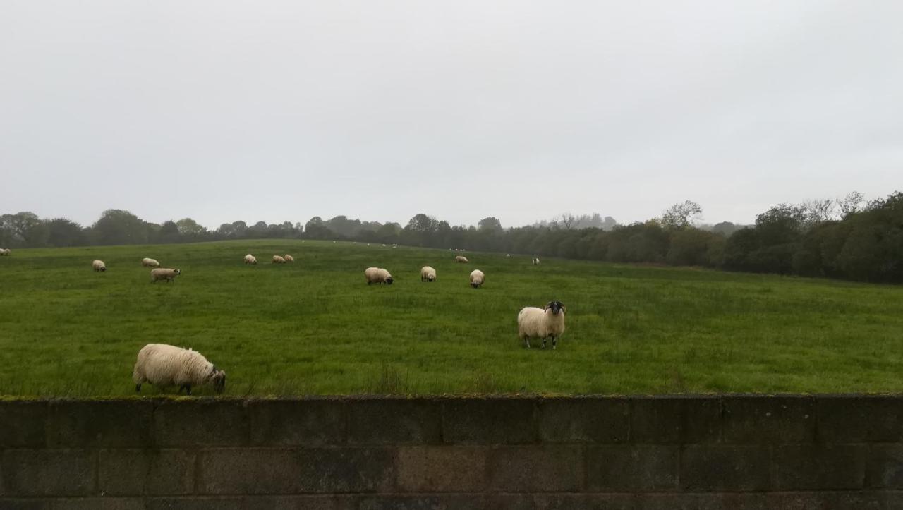 Lilac Manor Sligo Buitenkant foto